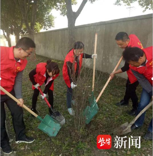 丽都名邸洛阳最新消息，城市新篇章的华丽呈现